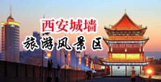 大几巴操浓毛狠逼中国陕西-西安城墙旅游风景区