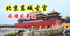 透大姑娘的逼逼中国北京-东城古宫旅游风景区